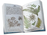 Dessins botaniques des Pyrénées- Tome 1