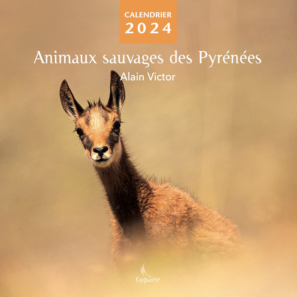 Calendrier chevalet Animaux sauvages des Pyrénées 2024 - Alain Victor -  Editions Gypaète – Éditions Gypaète