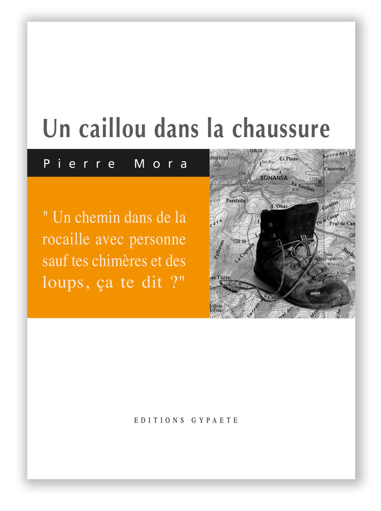 Dictionnaire de la chaussure : devenez imbattable ! - La Gazetta by Chiara