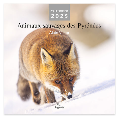 "Animaux sauvages des Pyrénées" Calendrier 2025 - Alain Victor