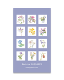 Coffret cartes postales "Les fleurs des Pyrénées en aquarelles" by Béatrice Dussarps
