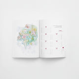 AGENDA PYRENEES 2027