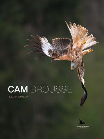 CamBrousse