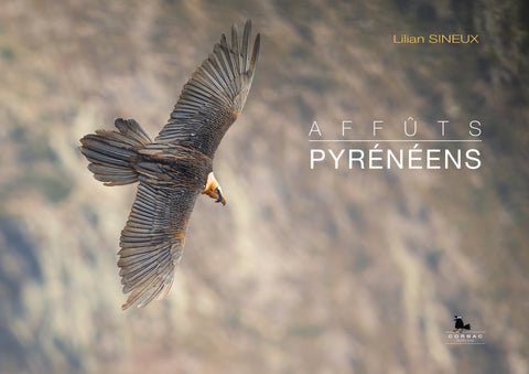 Affûts Pyrénéens
