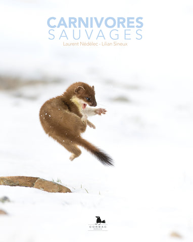 Carnivores Sauvages