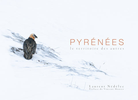 Pyrénées : le territoire des autres