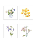 Coffret cartes postales "Les fleurs des Pyrénées en aquarelles" by Béatrice Dussarps