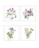 Coffret cartes postales "Les fleurs des Pyrénées en aquarelles" by Béatrice Dussarps