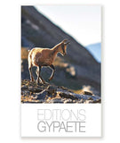 12 cartes "polaroid" Animaux des Pyrénées