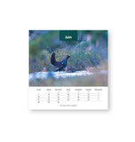 Animaux sauvages des Pyrénées - Calendrier chevalet 2027
