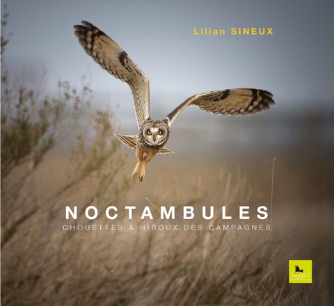 Noctambules