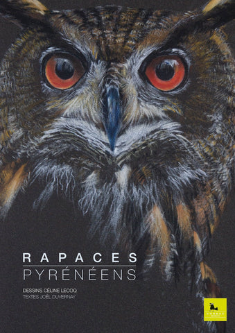 Rapaces Pyrénéens