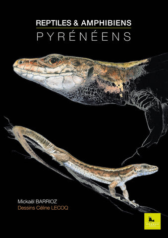 Reptiles & amphibiens pyrénéens