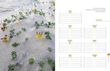 Agenda 2024 des Editions Gypaète ; photos de Dominique JULIEN ; Format 18x14 cm ; 120 pages - thème : océan, Sud-ouest ; Landes ; art ; photographie