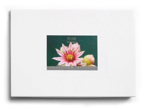 Série Limitée - En fleurs - Coffret de 8 cartes avec enveloppes - Editions Gypaète