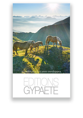 Pochette de 12 cartes postales Pyrénées -Eté