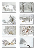 Série limitée - Blanc comme neige - photos Dominique Julien - Editions Gypaète